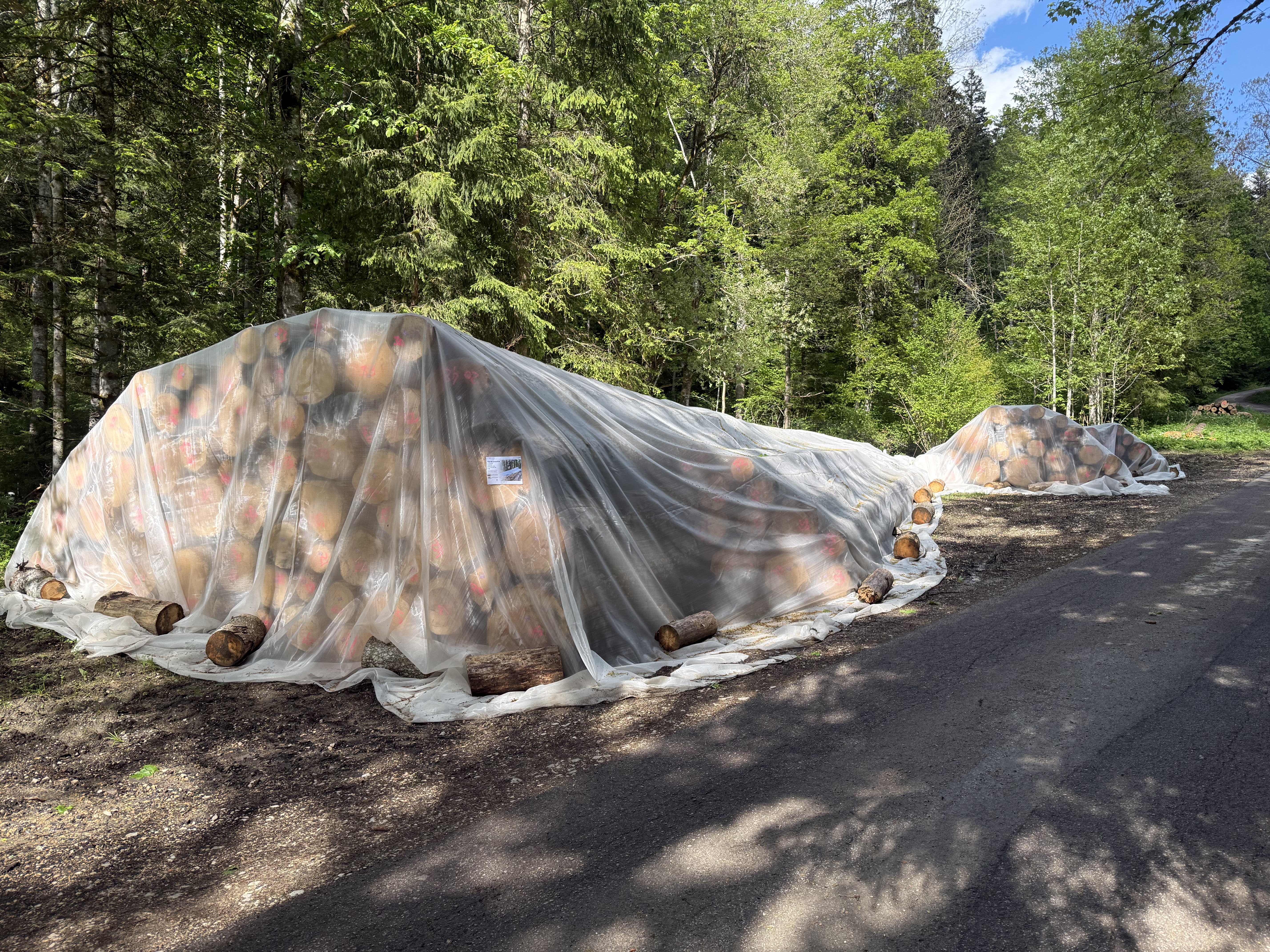 Bâchage des piles de bois
