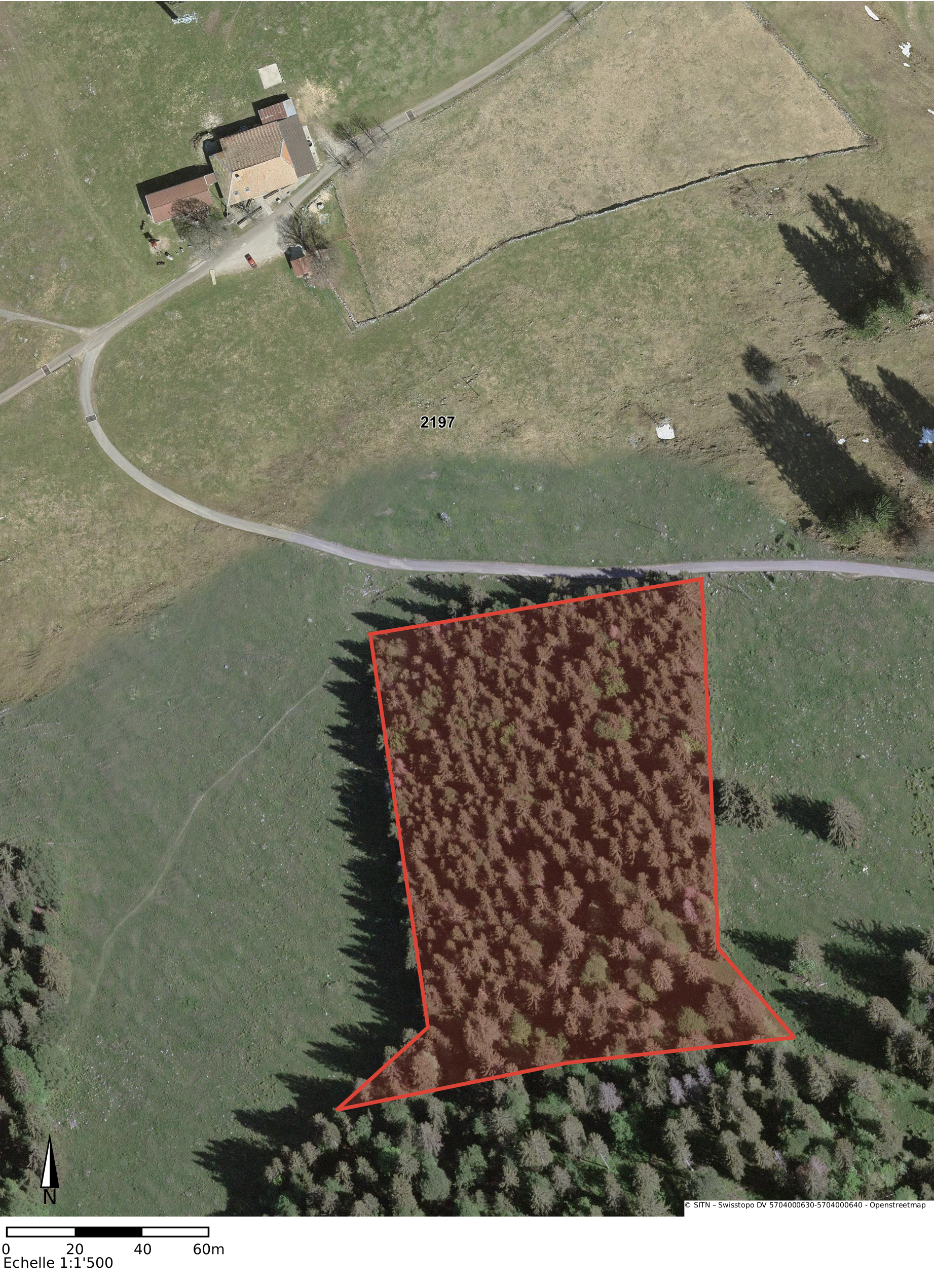 Plan coupe de bois secteur La Robella