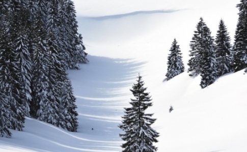 neige