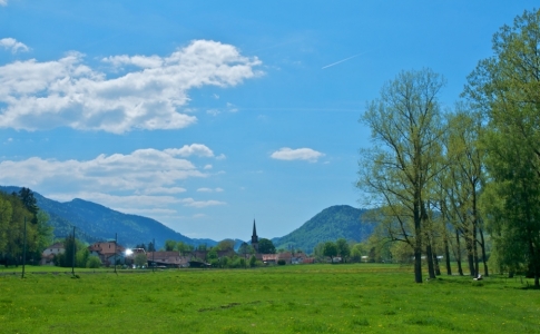 vue