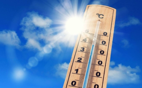 Alerte canicule