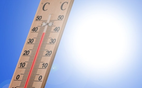 Canicule