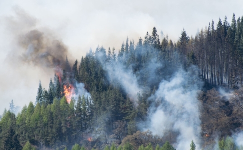 Feux de forêts danger Val-de-Travers 2023