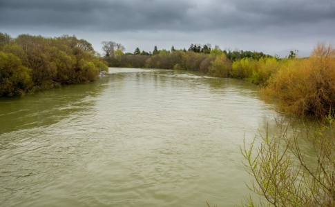 Berges des rivières