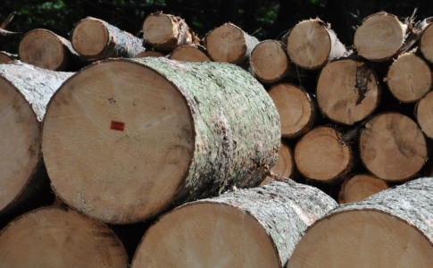 Du bois local très précieux - Val-de-Travers