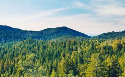 Agrandissement des réserves forestières communales