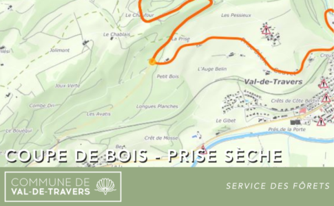 Coupe de bois - Prise Sèche