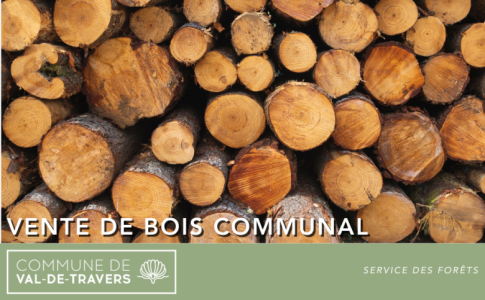 Un record pour la vente de bois communal !