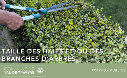 Taille des haies et/ou des branches d’arbres