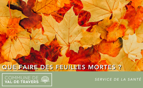 Que faire des feuilles mortes ?