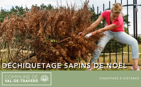Déchiquetage des sapins de Noël