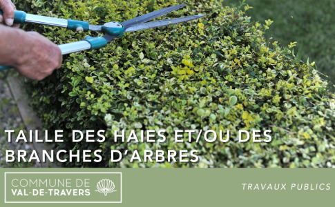 Taille des haies, des branches d’arbres