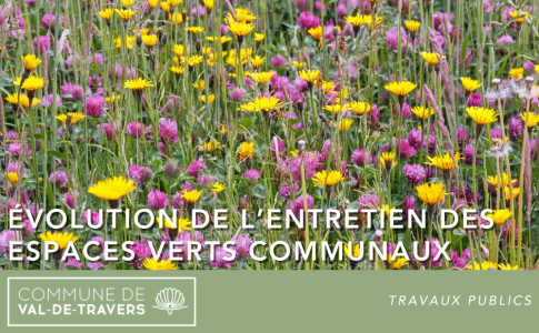 Évolution de l’entretien des espaces verts communaux