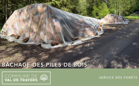 Bâchage des piles de bois