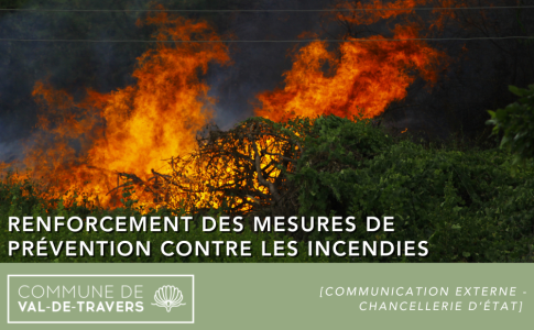 Le Conseil d'État renforce les mesures de prévention contre les incendies de forêt et limite l'utilisation des feux d'artifice