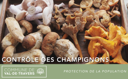 Contrôle des champignons