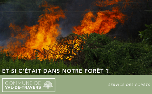 Et si c'était dans notre forêt ?