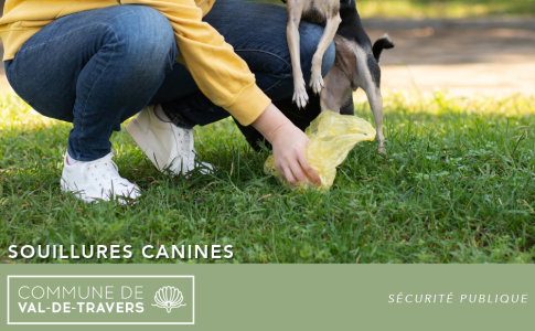 Souillures canines