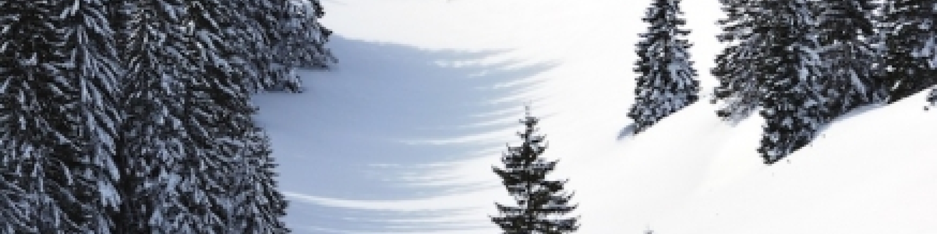 neige