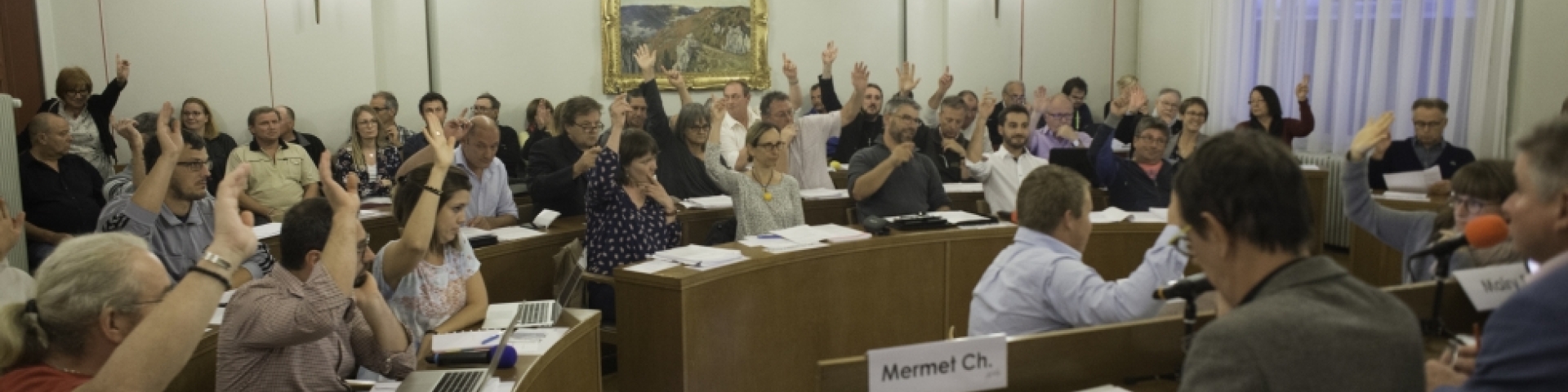 conseil général