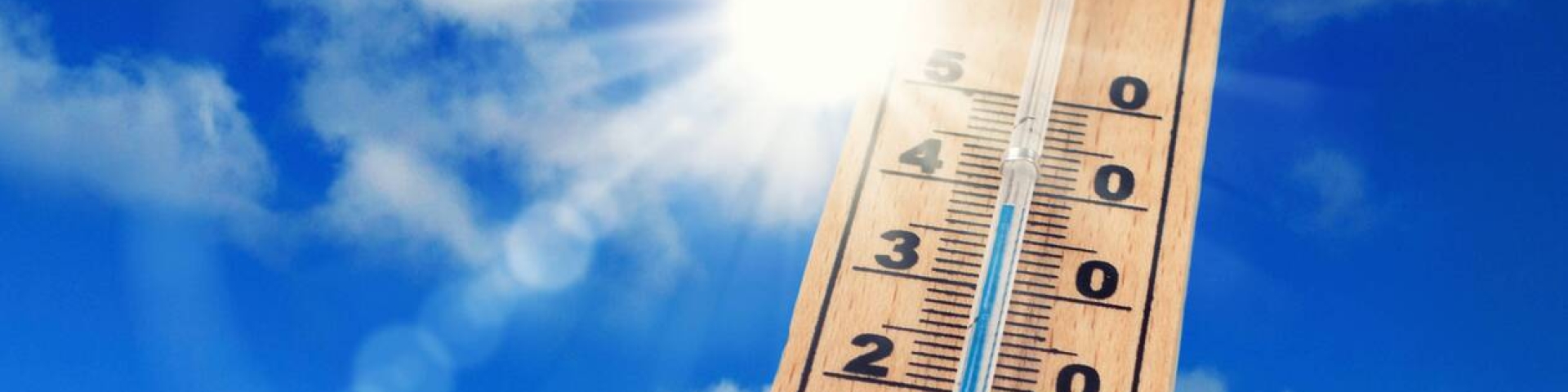 Alerte canicule