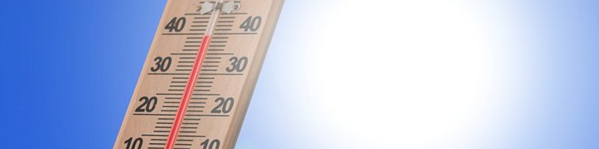 Canicule