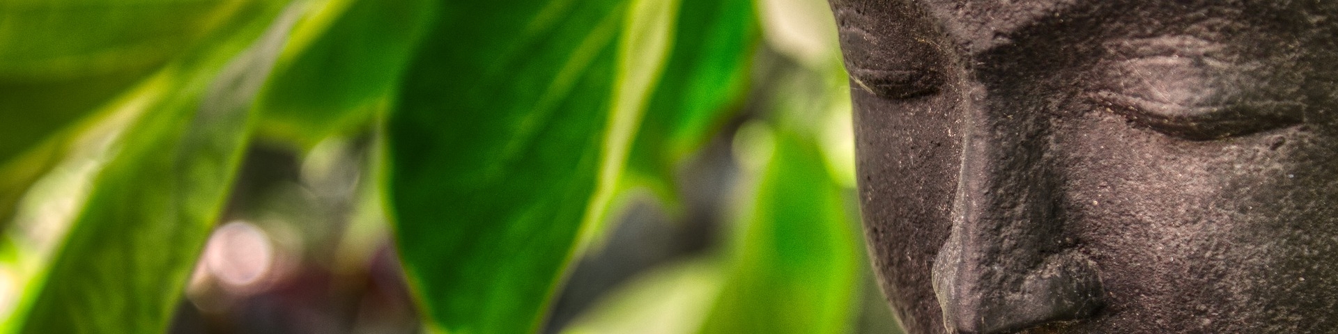 zen