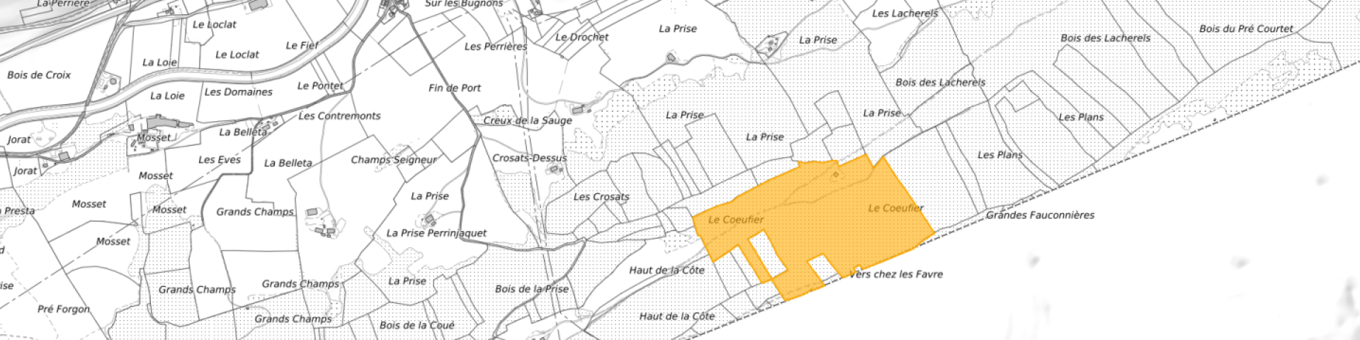 QUEL AVENIR POUR LE COEUFFIER ?