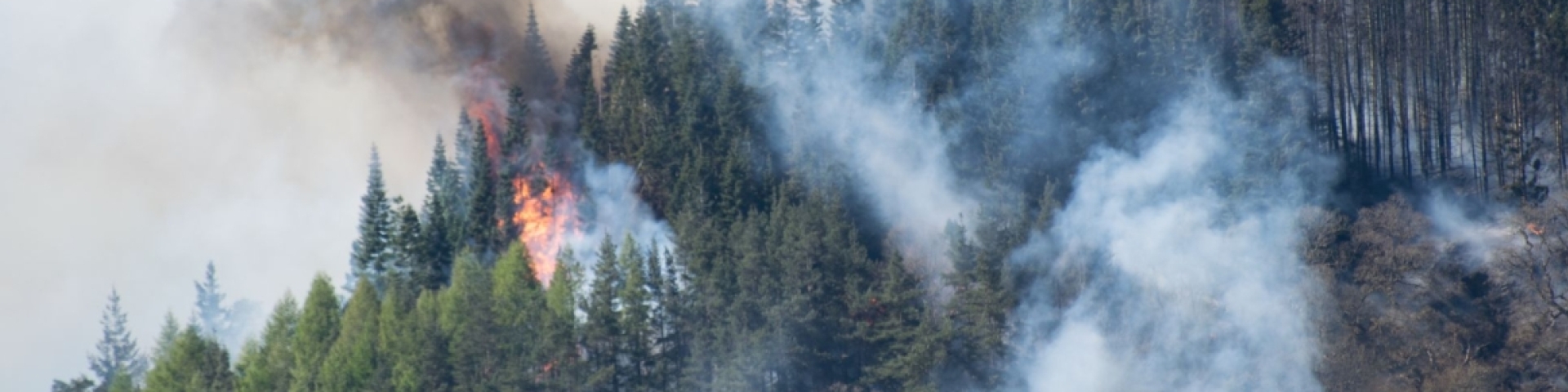 Feux de forêts danger Val-de-Travers 2023