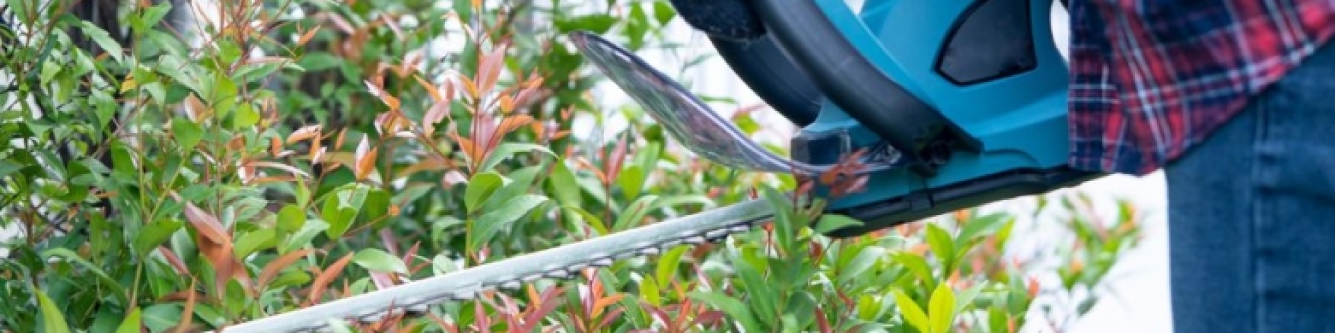 Taille des haies, des branches d’arbres Val-de-Travers 2023
