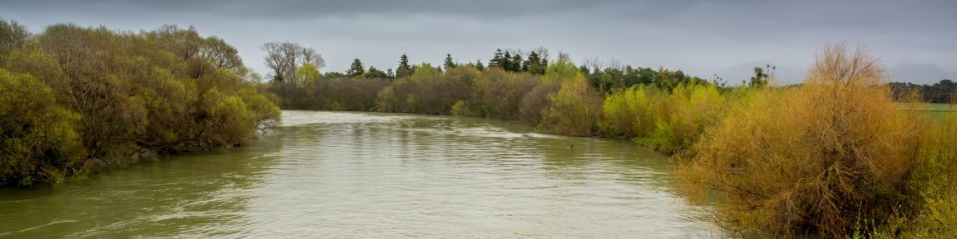 Berges des rivières