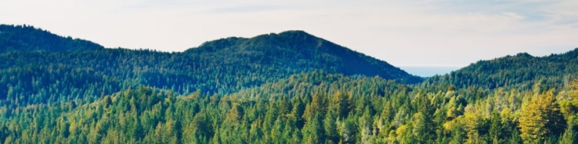 Agrandissement des réserves forestières communales