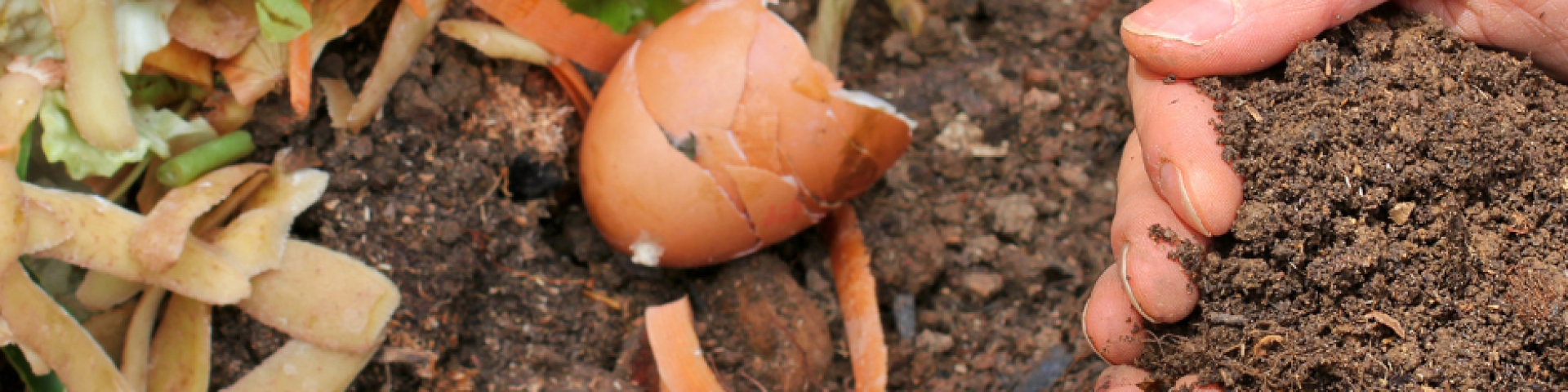 Compost gratuit pour votre jardin potager