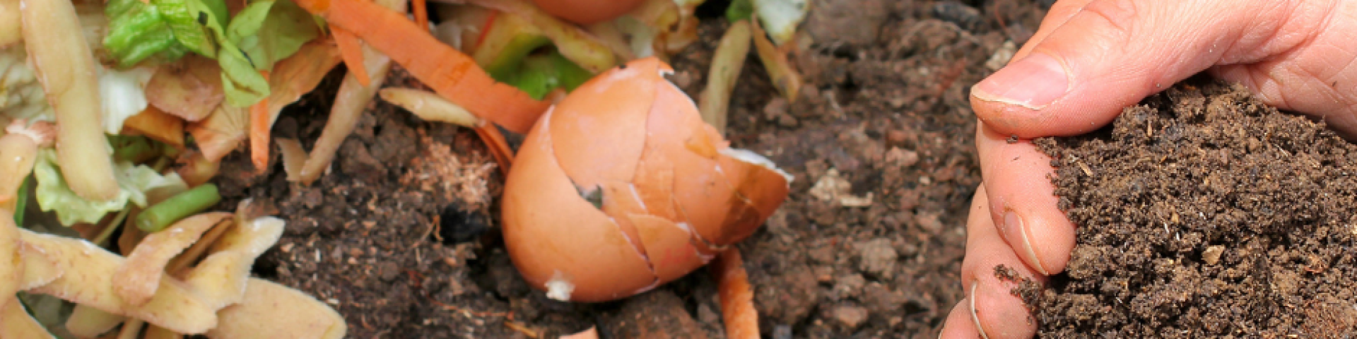 Compost