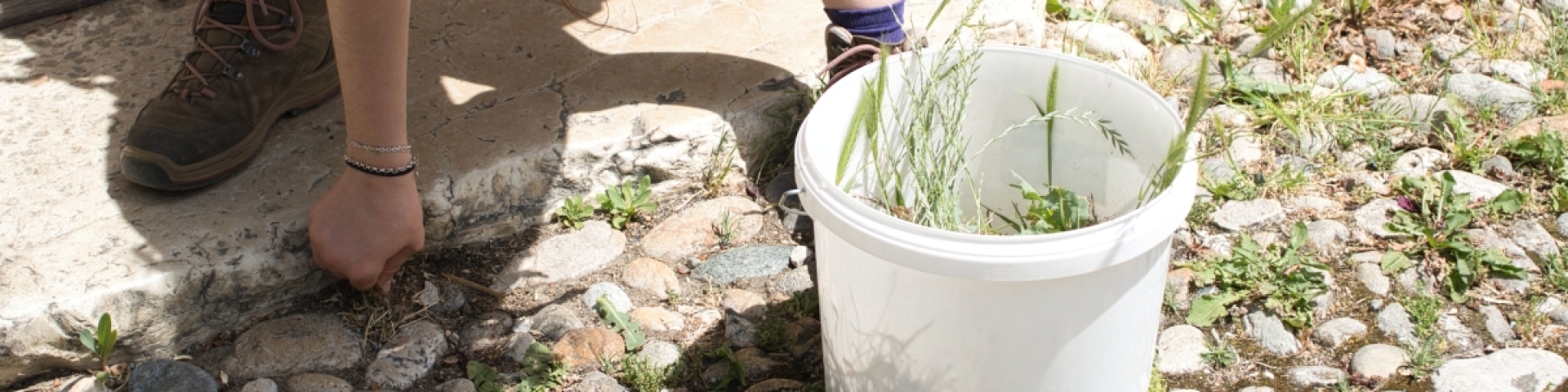 Journée citoyenne 2026