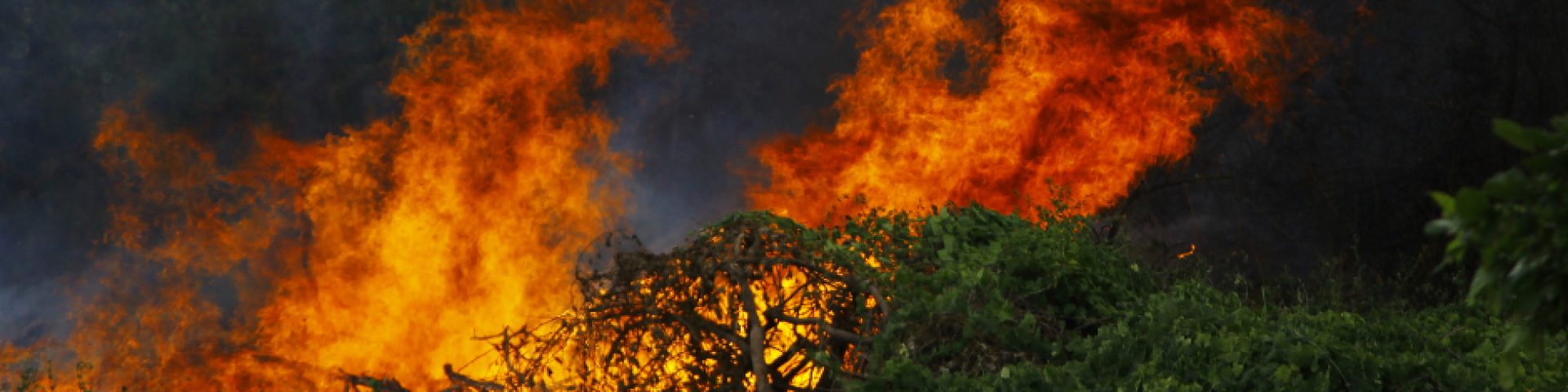 Le Conseil d'État renforce les mesures de prévention contre les incendies de forêt et limite l'utilisation des feux d'artifice