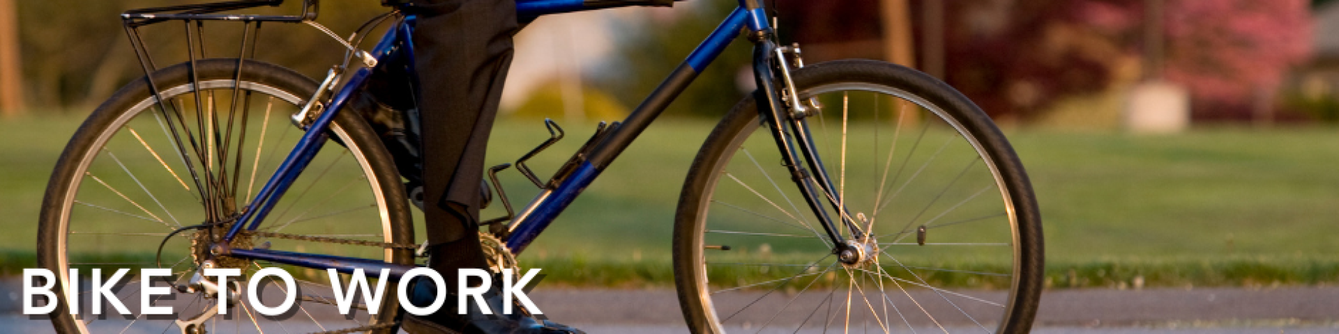 Bike to work