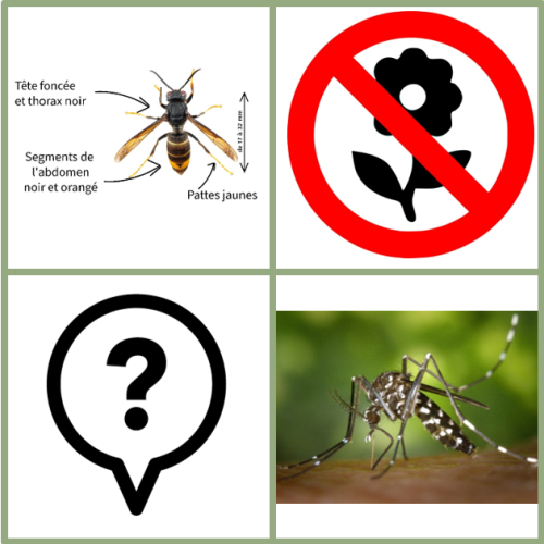 lutte contre especes invasives